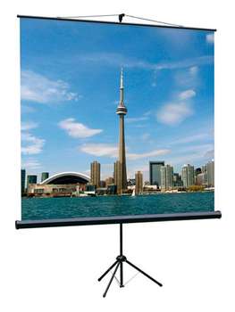 Экран LUMIEN Eco View 150x150 см с возможностью настенного крепления LEV-100101